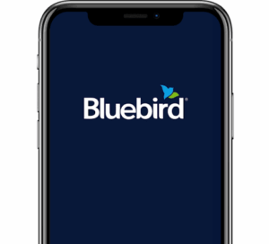 Buy Bluebird Verified Account
